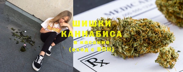 СК Балахна