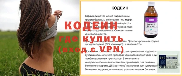 индика Баксан